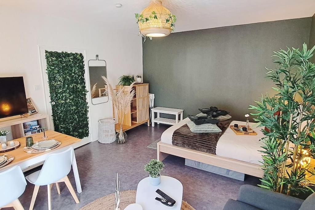 קולמר Petit Cocon Nature Centre-Ville מראה חיצוני תמונה